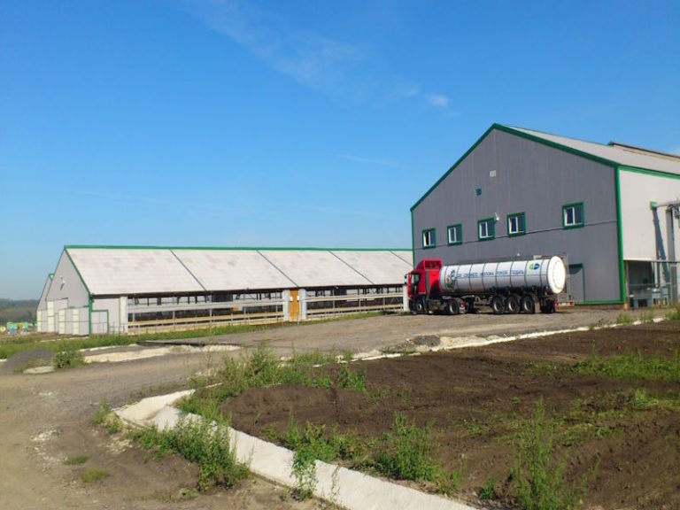 Молочно-товарная ферма на 1200 коров с. Кривцово Яковлевского района, Белгородской области 2011г.