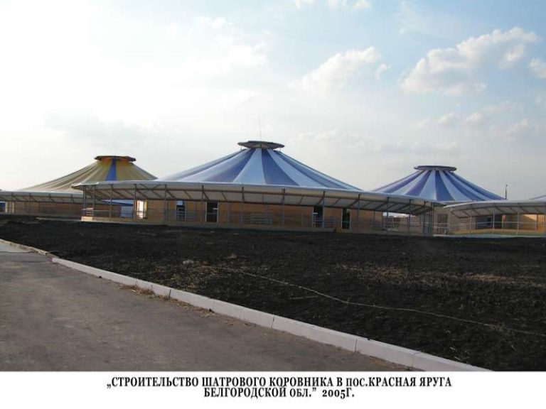 Строительство шатрового коровника в пос. Красная Яруга, Белгородской обл. 2005г.